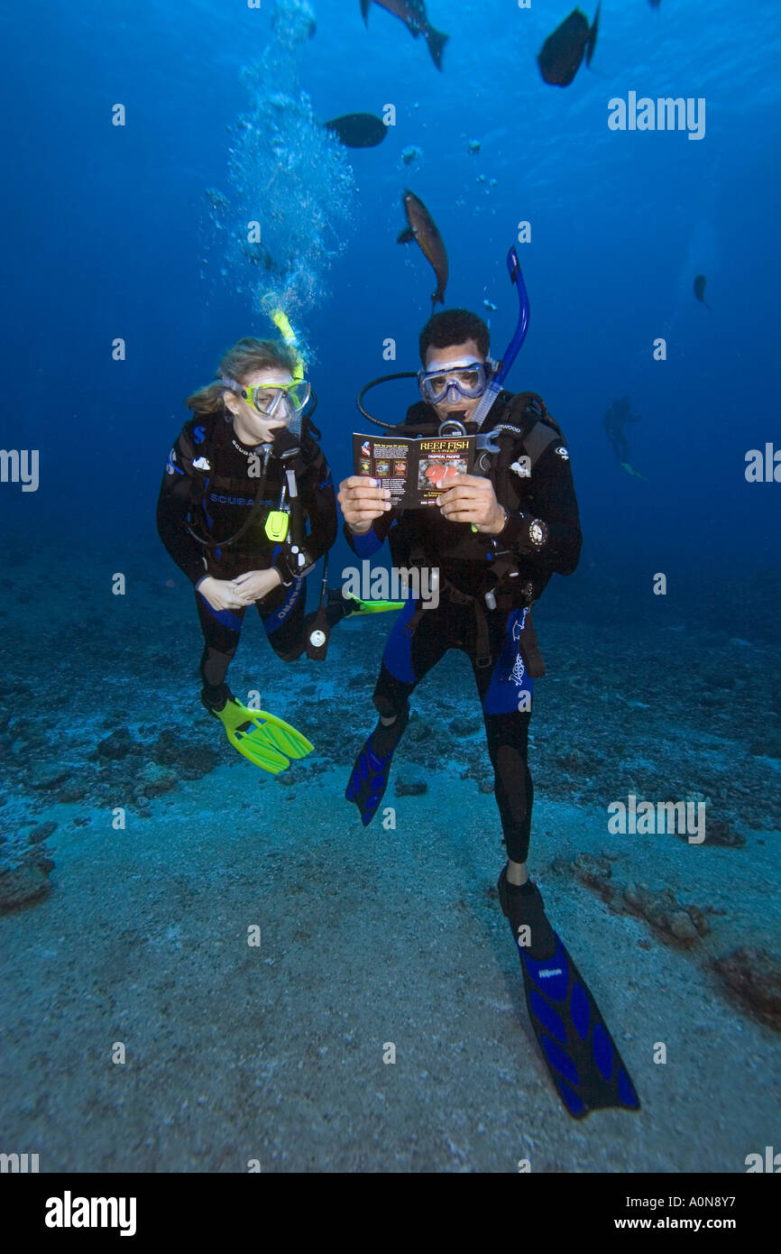 Divers (MR) su una scogliera di lettura di un pesce libro di identificazione subacquea, Palau, Micronesia. Foto Stock