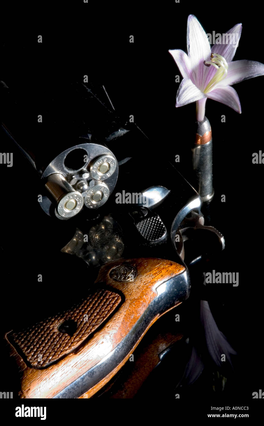 Smith Wesson 38 calibro pistola revolver con piccolo fiore rosa spuntano da punto di cava bullet Foto Stock