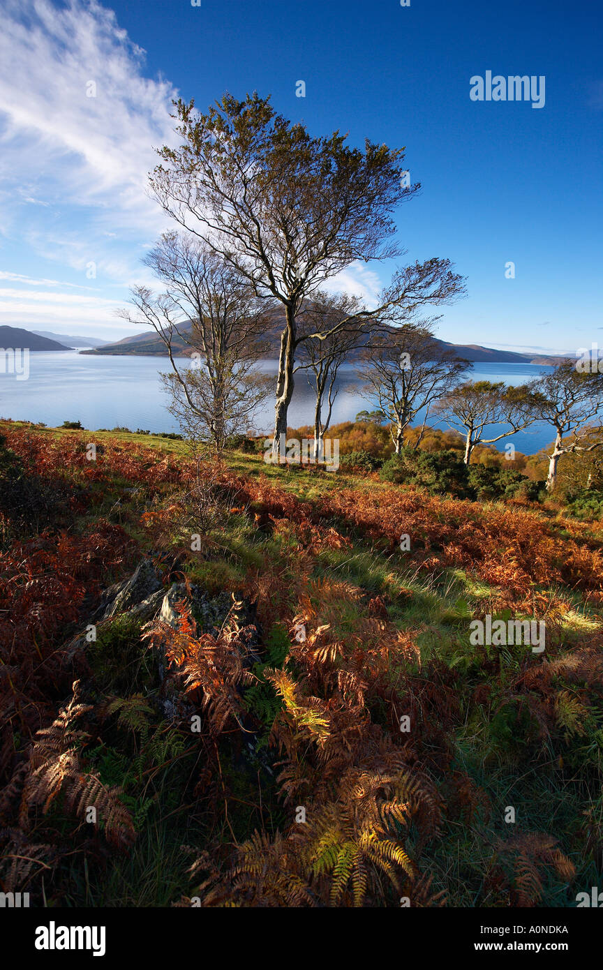 Loch Alsh il suono di Sleat da Balmacarra nr Kyle of Lochalsh Wester Ross Scotland Regno Unito Foto Stock