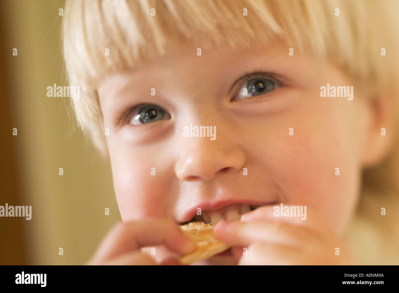 3 anno vecchia ragazza mangiando un cracker Foto Stock