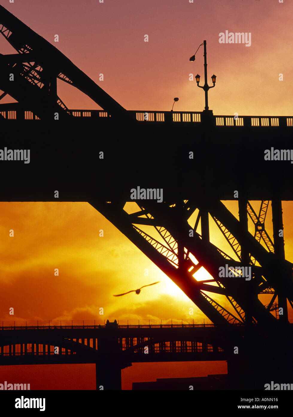 Il Tyne Bridge Newcastle upon Tyne Inghilterra Foto Stock