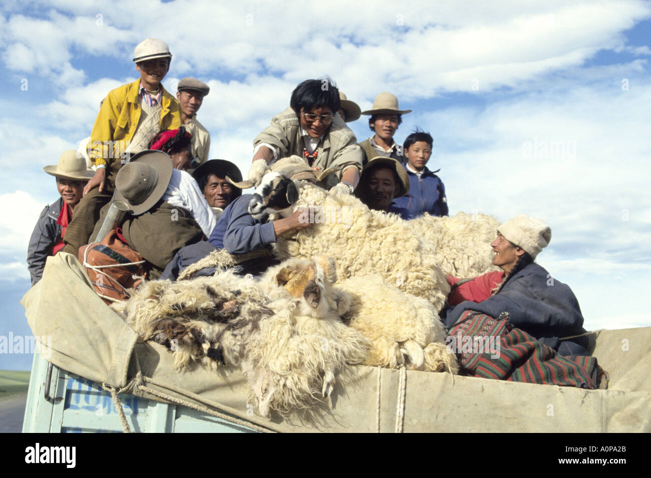Autocarro carico di agricoltori e pastori nomadi,con live stock sul loro modo al Naqu ,Nagqu ,fiera cavalli il Tibet Foto Stock