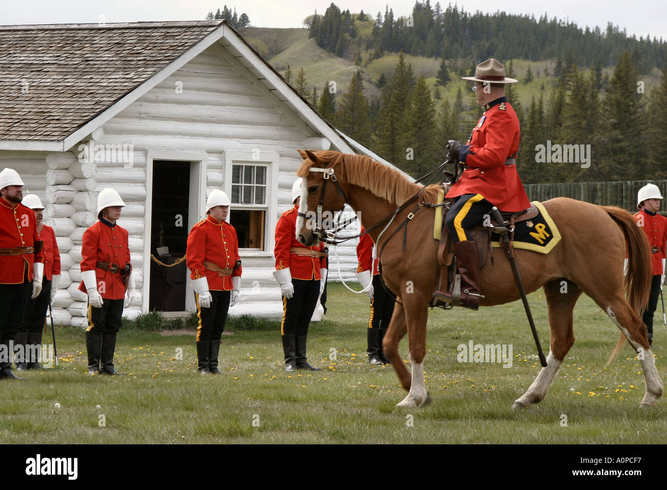 Signor Commissario s arrivo Foto Stock