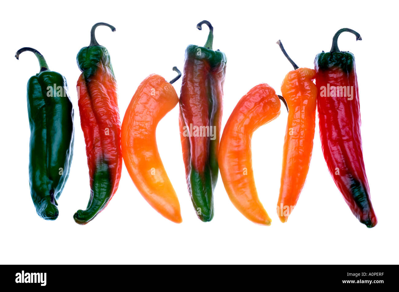 Lineup di peperoncino piccante Foto Stock