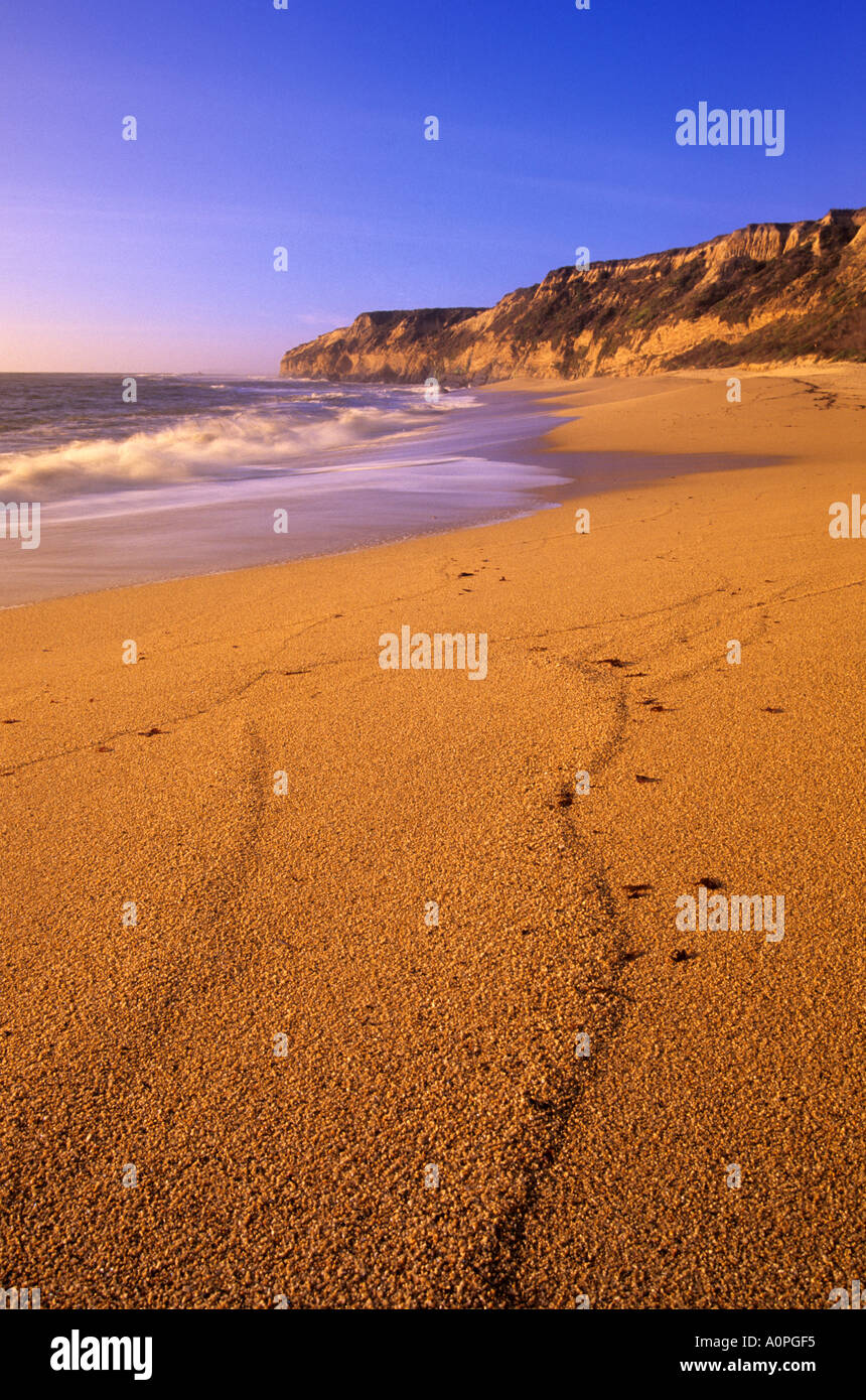 Serata al Pocket Beach Cowell Ranch State Beach California USA Foto Stock