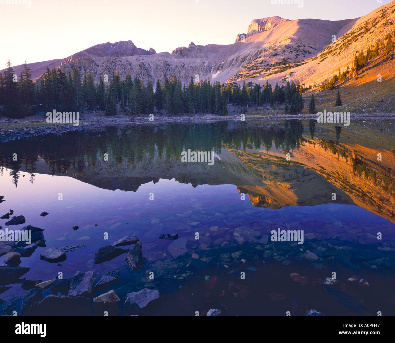 Wheeler Peak riflessione nella stella Lago Parco nazionale Great Basin Nevada Foto Stock