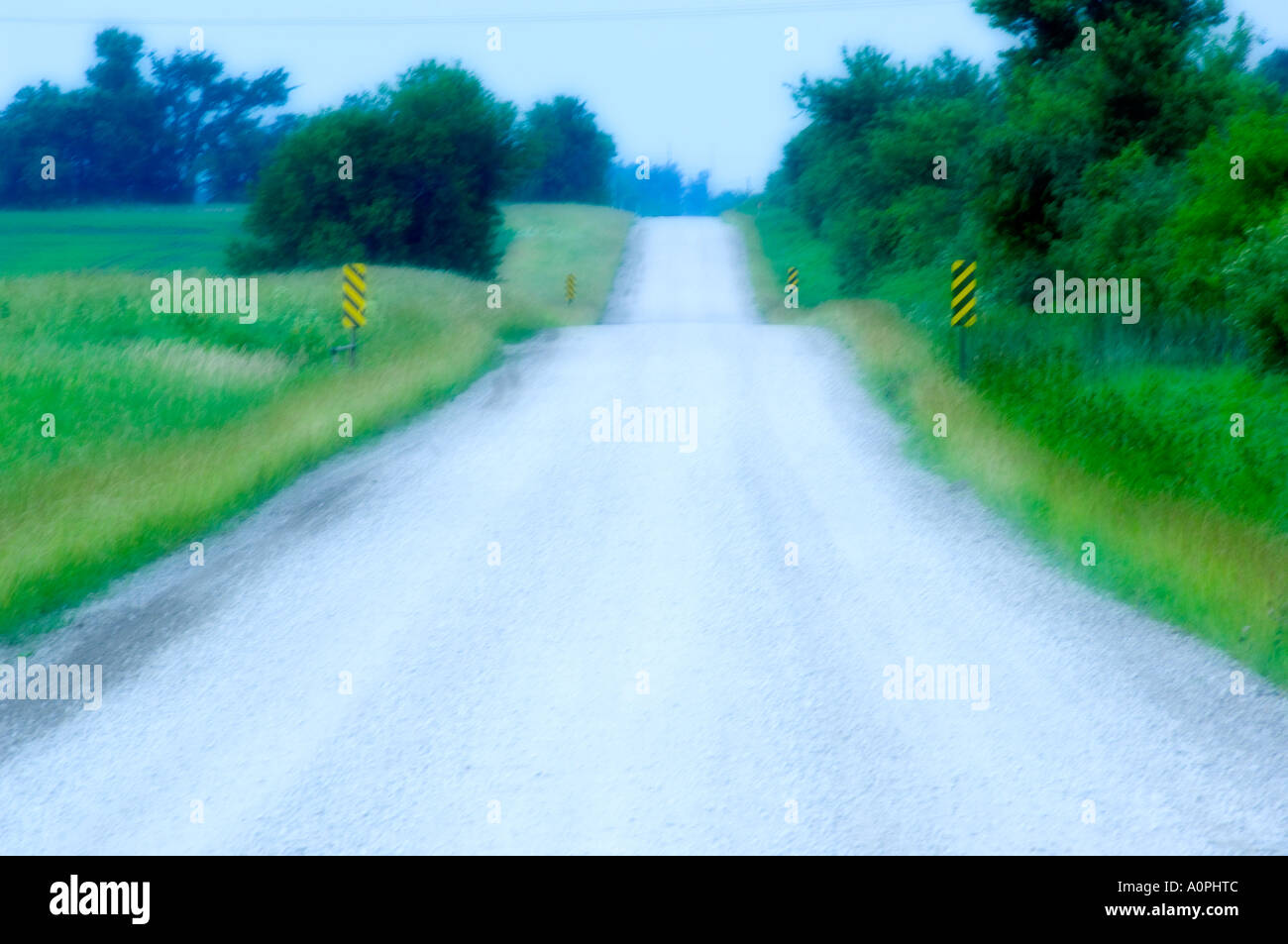 Vista guardando verso il basso paese strada di ghiaia, erba verde e alberi su entrambi i lati, leggermente soft focus Foto Stock