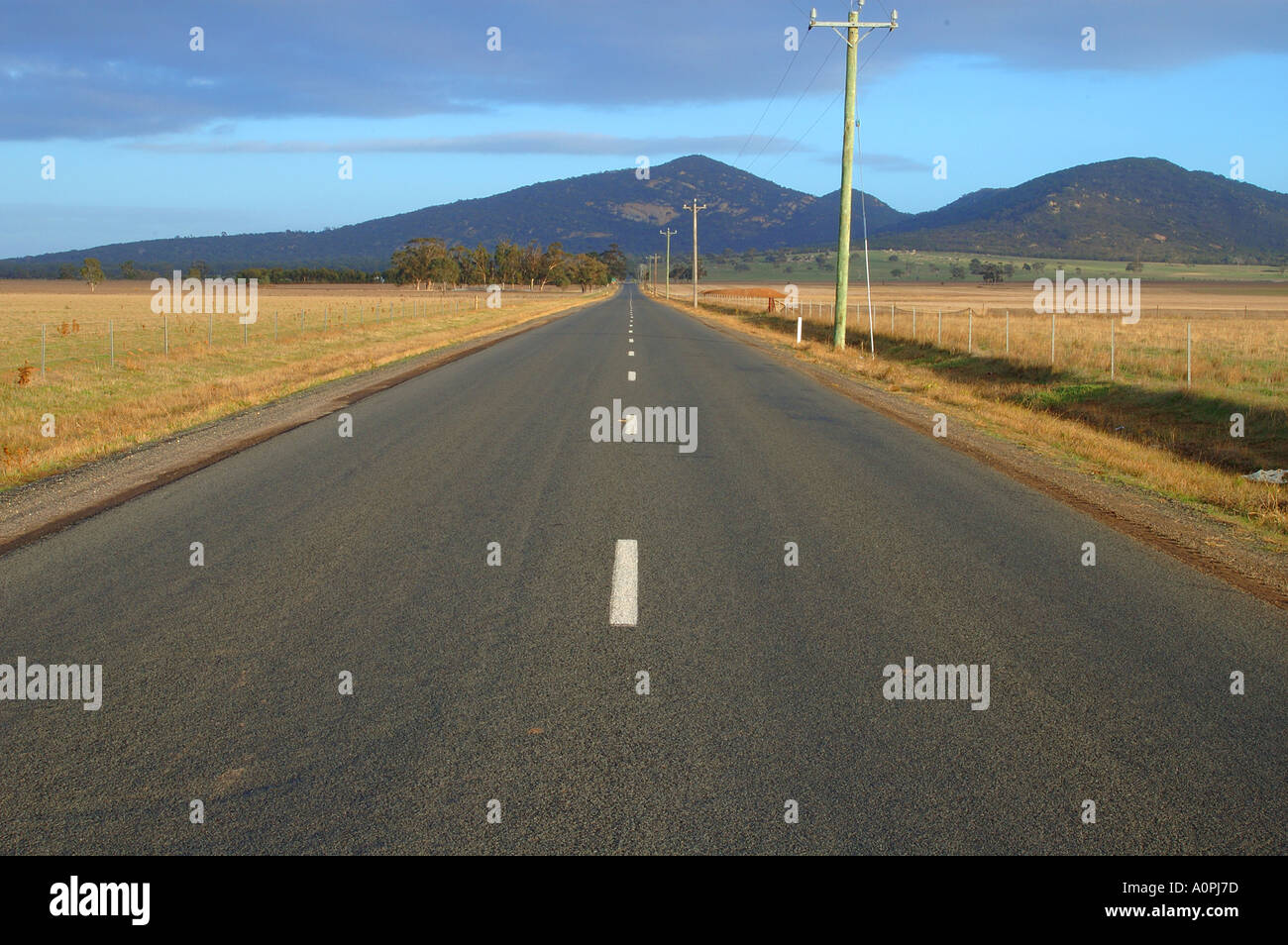 Una lunga strada dritta in direzione di You Yangs, Victoria, Australia Foto Stock