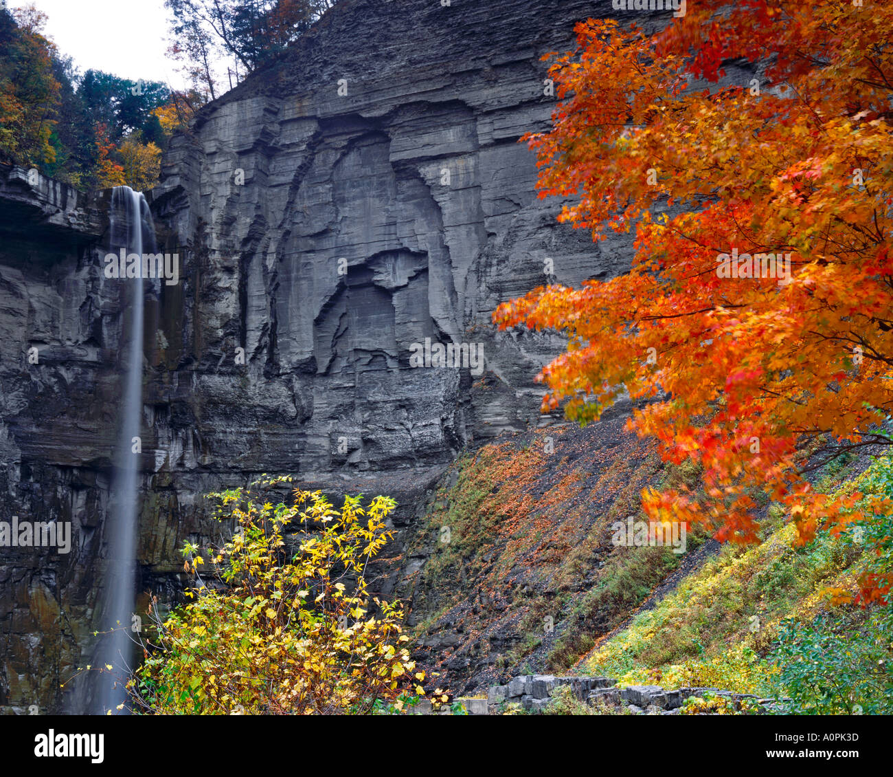 Autunno a Taughannock cade Taughannock cade stato parco gole lungo Finger Lakes pianori in New York Foto Stock