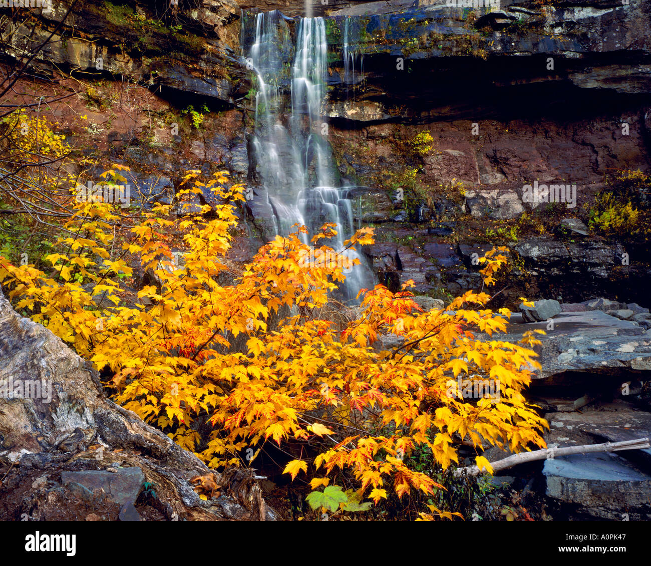 Autunno a Kaaterskill Falls Catskill Forest Preserve Catskill Mountains New York Foto Stock