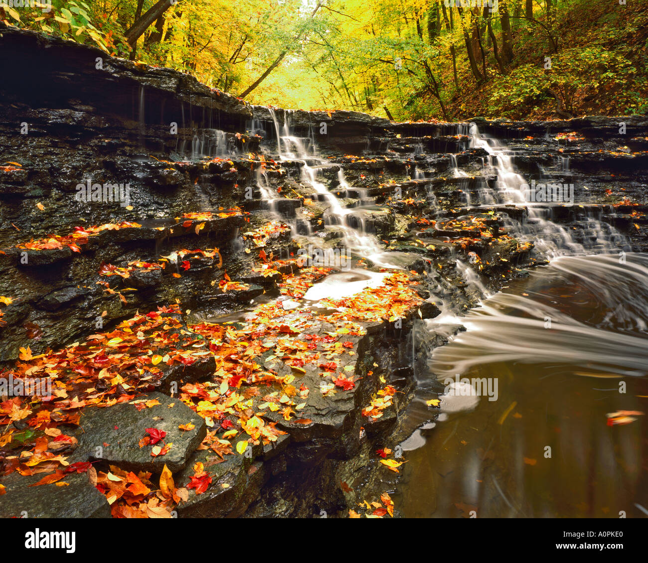Cascate di autunno in boschi di Sharon Gorge Sharon boschi Gorge membro Scenic Nature Preserve vicino a Cincinnati in Ohio Foto Stock