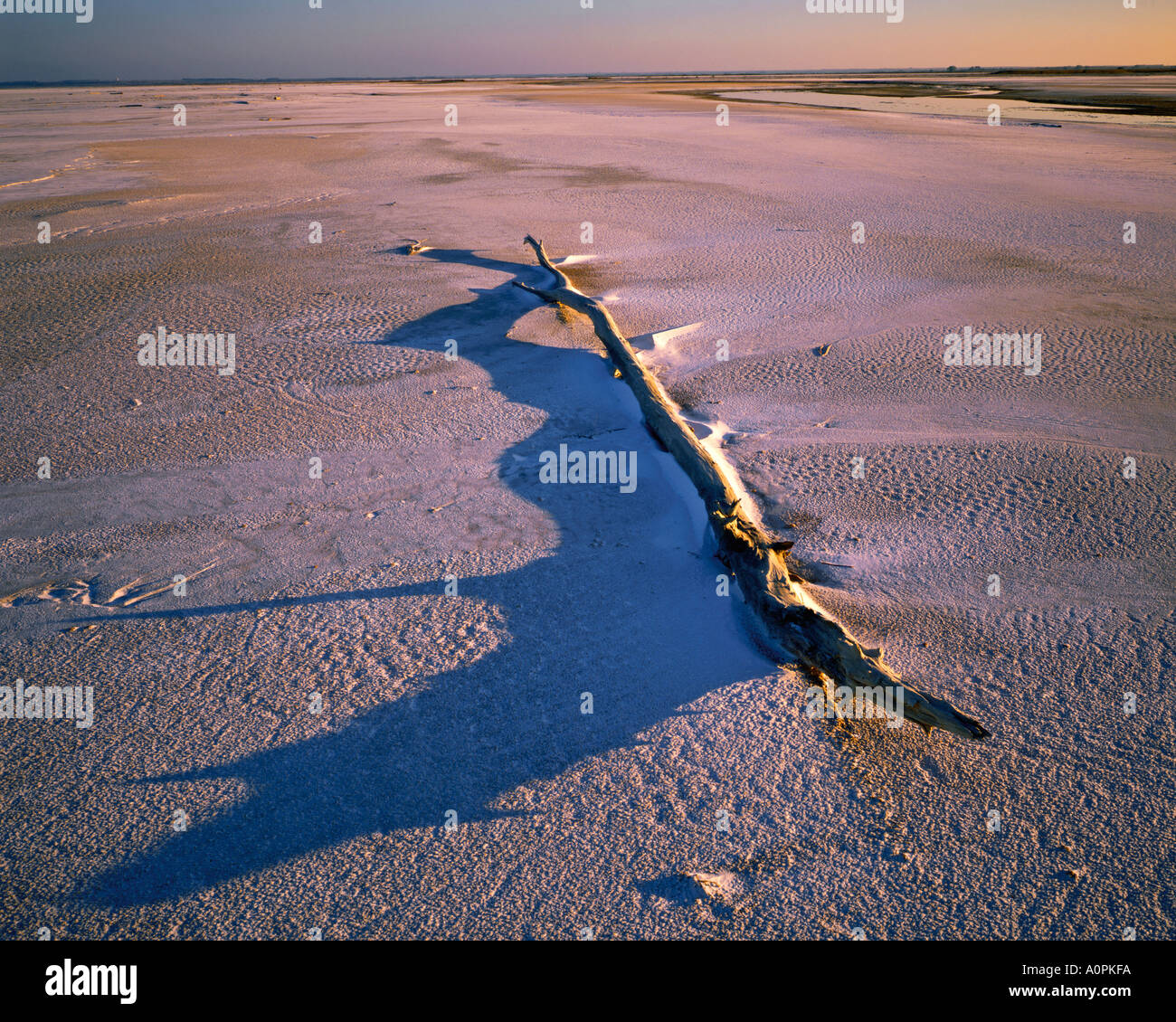Grandi pianure di sale al tramonto grande sale pianure National Wildlife Refuge Oklahoma Foto Stock