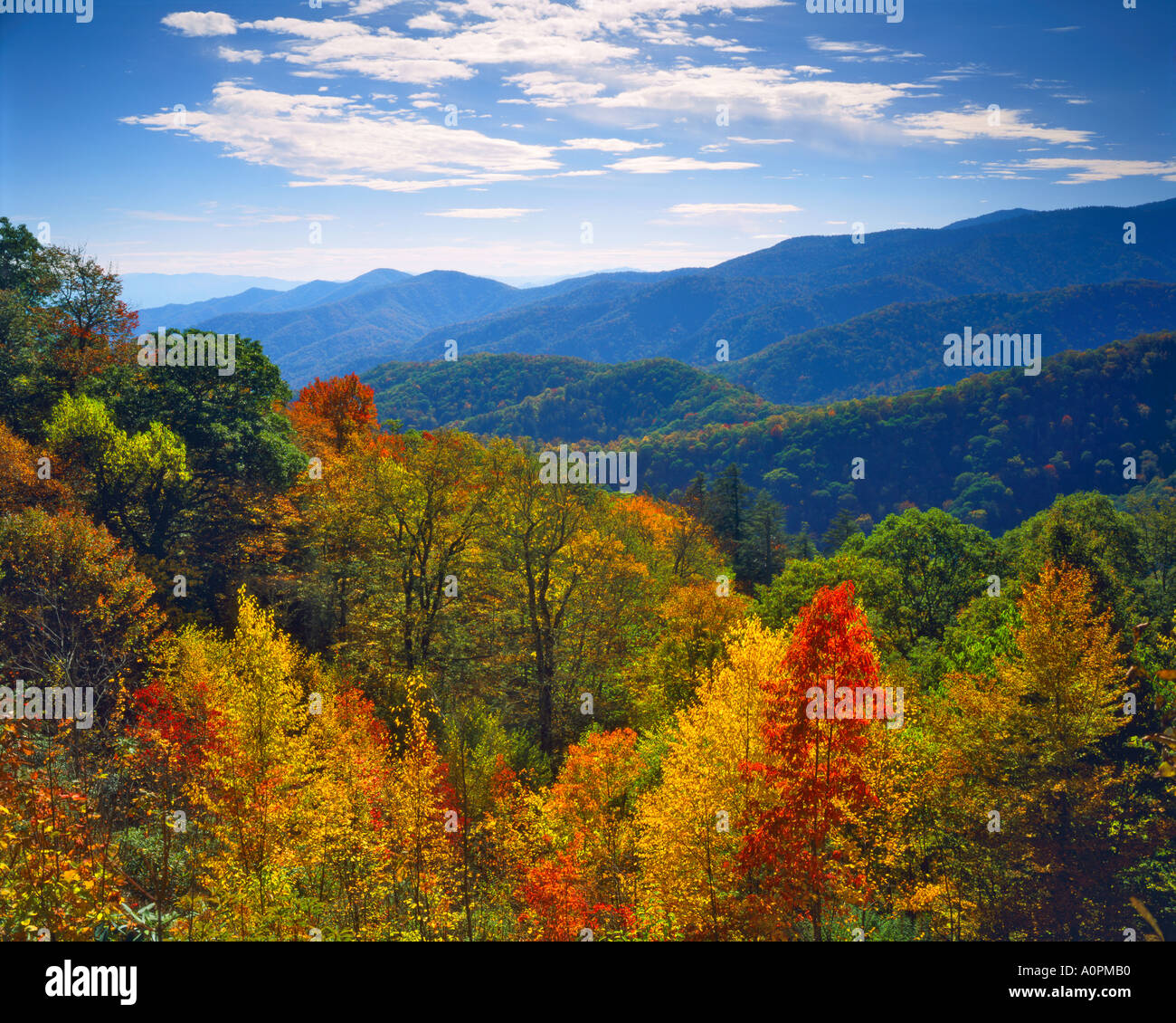 Prima caduta colori Great Smoky Mountains National Park Southern Appalachians Gap ritrovata Carolina del Nord Foto Stock