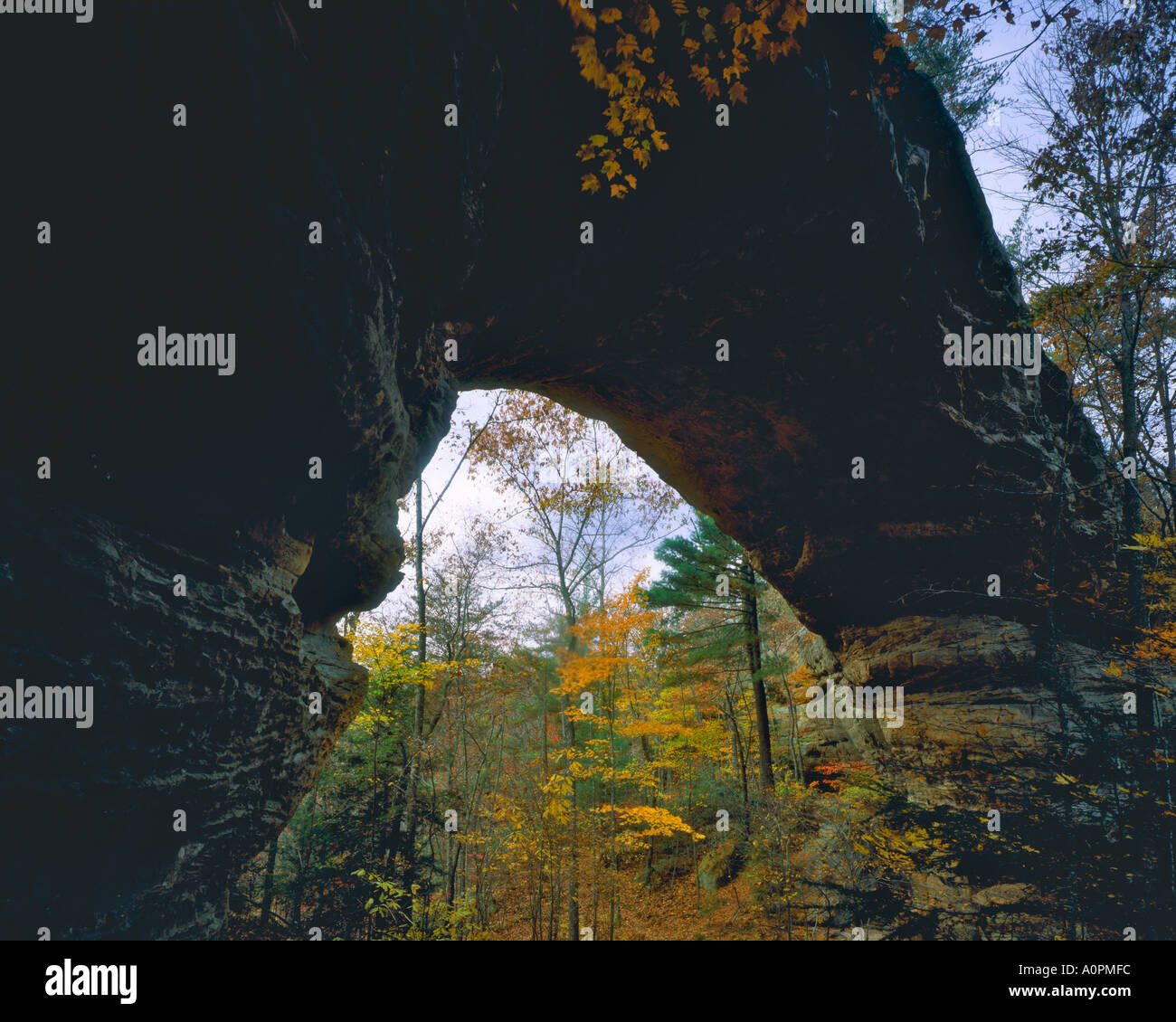 Arco del nord in autunno grande sud Forcella del Cumberland River grande sud Forcella Fiume Nazionale Recreation Area Tennessee Foto Stock