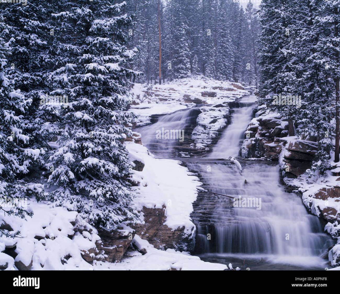 Provo superiore River Falls in inverno Cache Wasatch National Forest Utah Foto Stock
