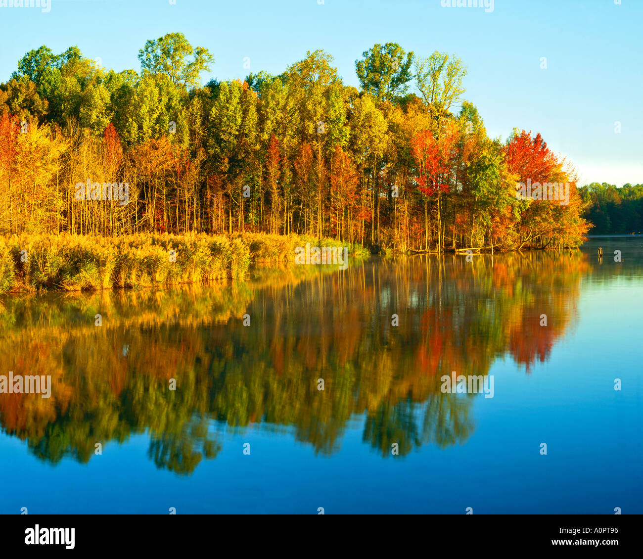 Autunno riflessioni sul laghetto di Sunrise Lums stagno parco dello Stato del Delaware Foto Stock