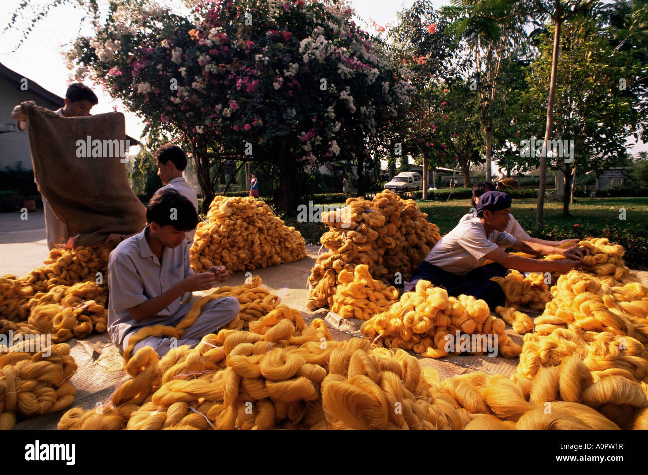 Seta greggia Thailandia Asia del sud-est asiatico Foto Stock
