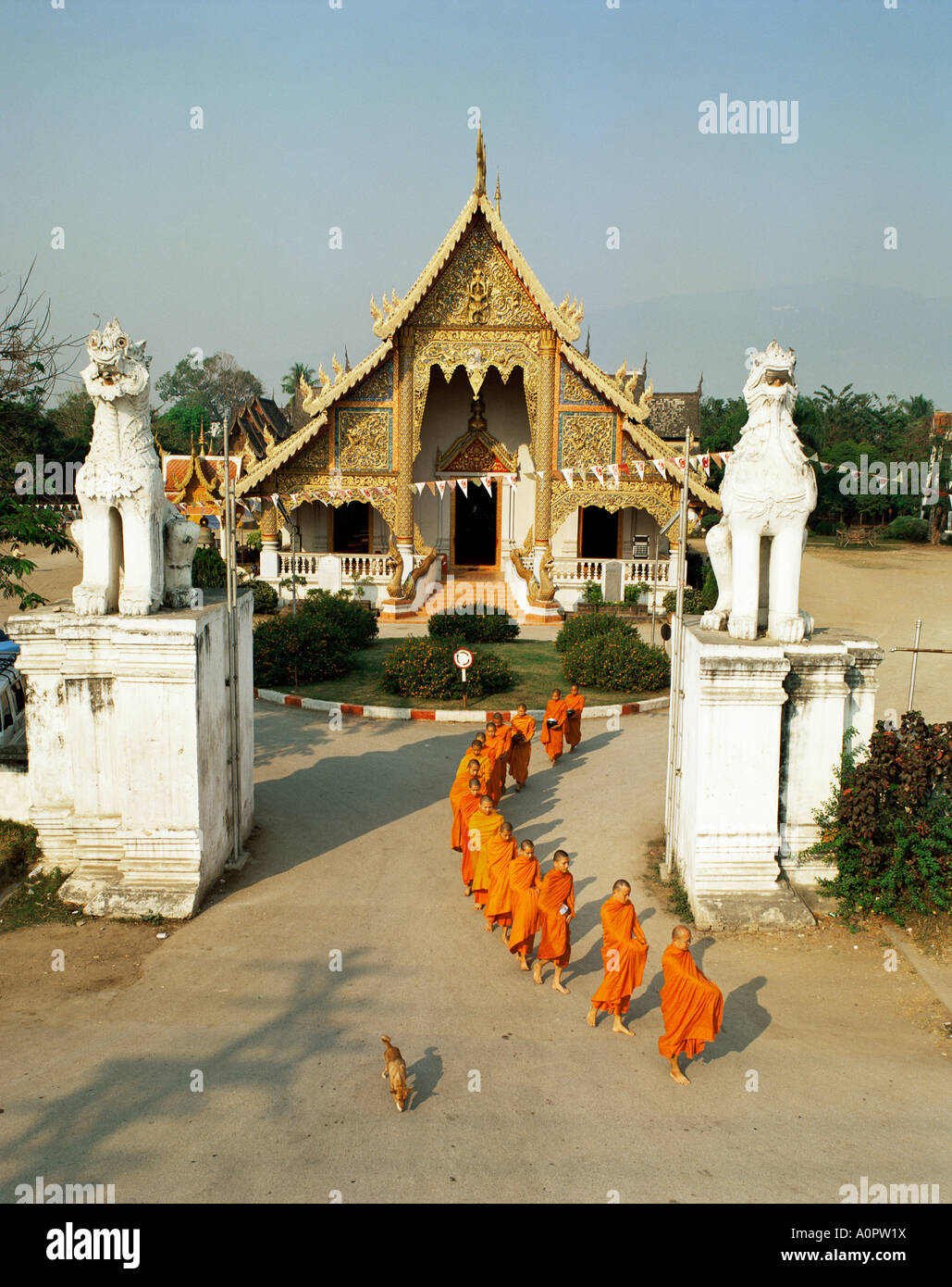 I monaci di lasciare il Wat Phra Singh per raccogliere elemosine Chiang Mai Thailandia del sud-est asiatico Foto Stock