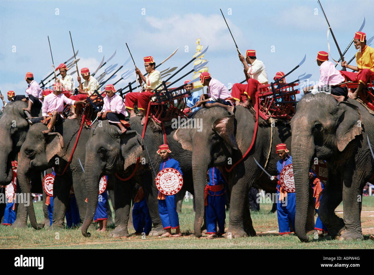 Gli elefanti al festival Surin Thailandia Asia del sud-est asiatico Foto Stock