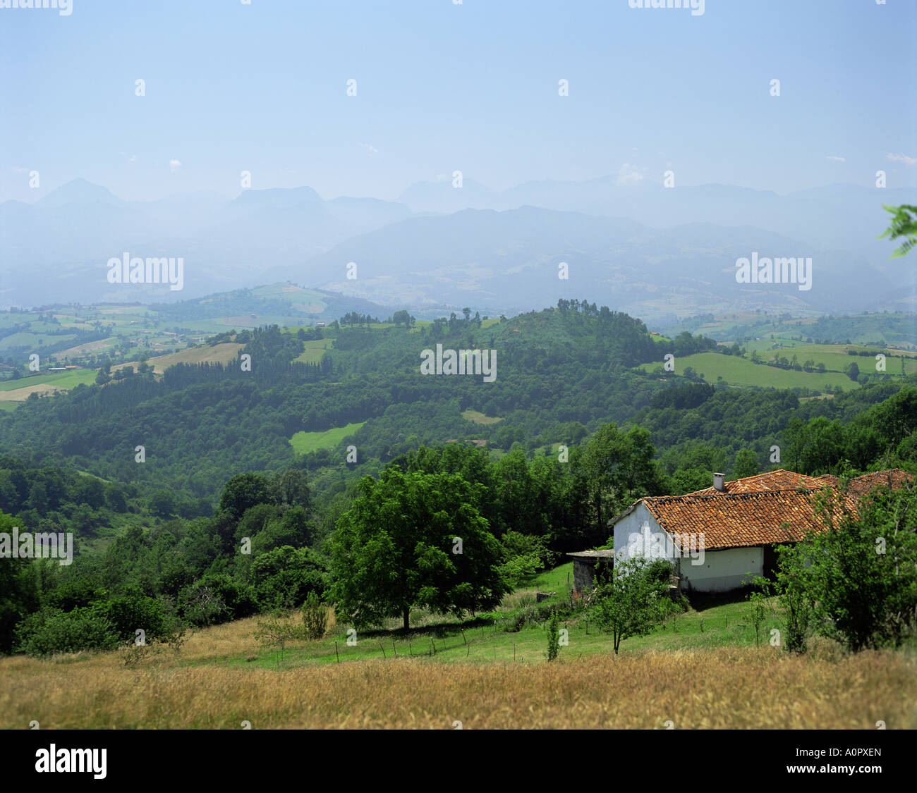 Colline di Picos de Europa Asturias Spagna Europa Foto Stock