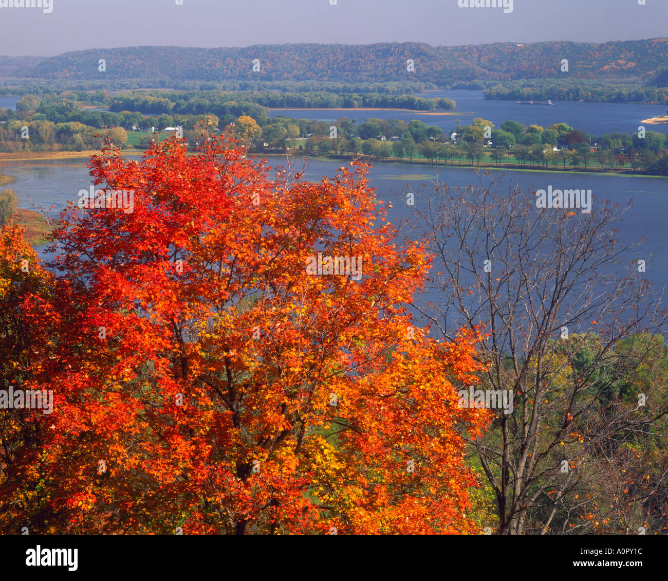 In autunno gli alberi su scogliere alto Mississippi River National Wildlife Refuge Iowa Foto Stock