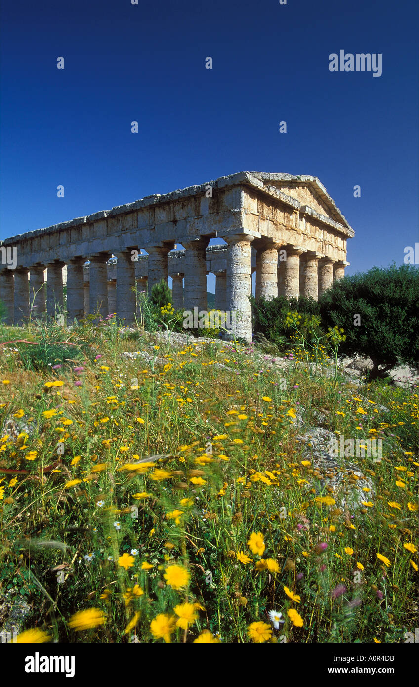 Greco tempio dorico a Segesta Sicilia Italia Foto Stock