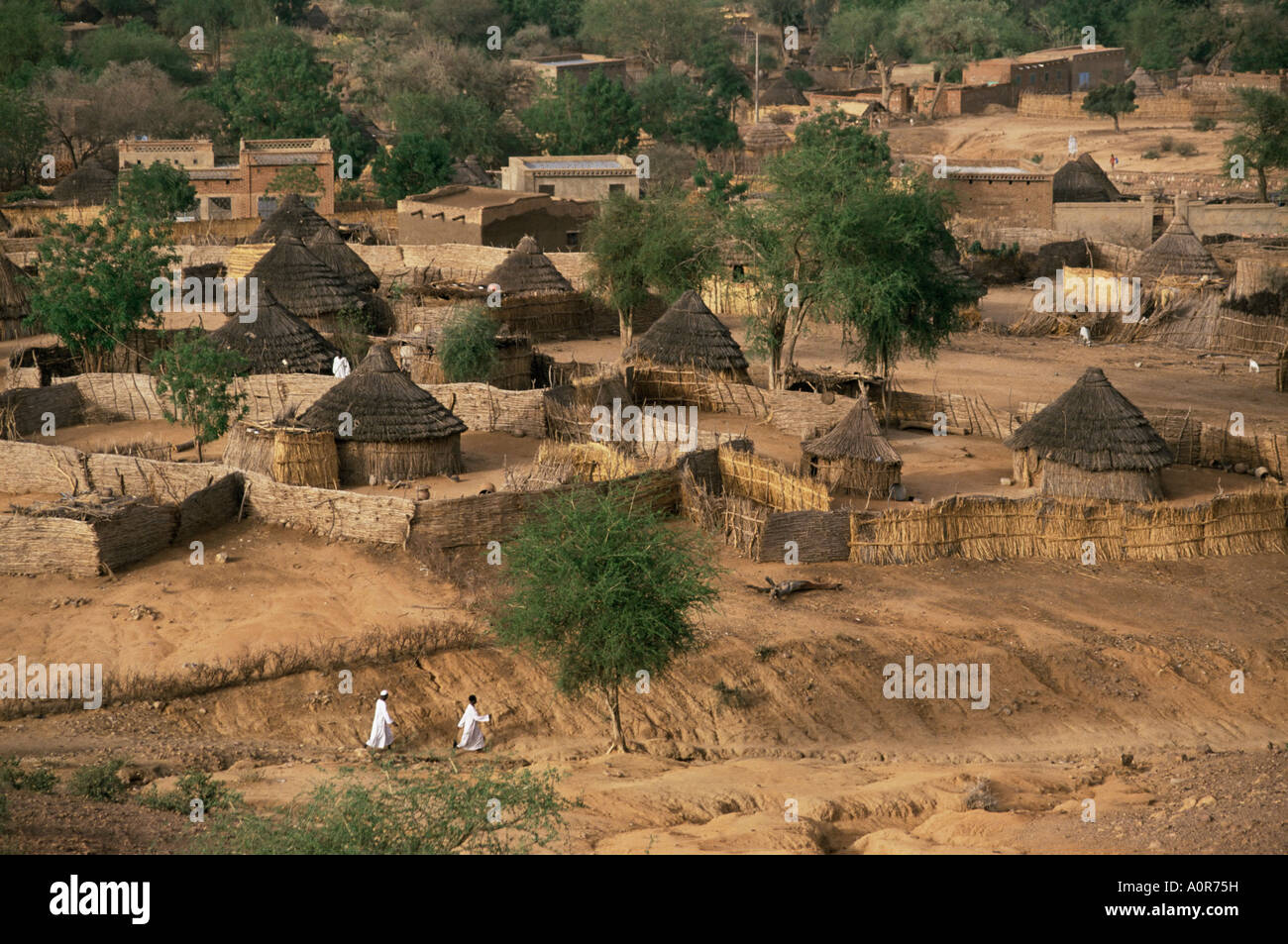 El Geneina Darfur occidentale del Sudan Sudan Africa Foto Stock