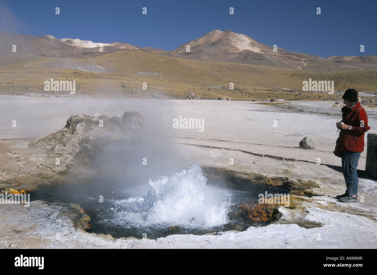 Geyser in piscina nel bacino di agglomerato El Tatio Geyser Basin su altiplano deserto di Atacama cile america del sud Foto Stock