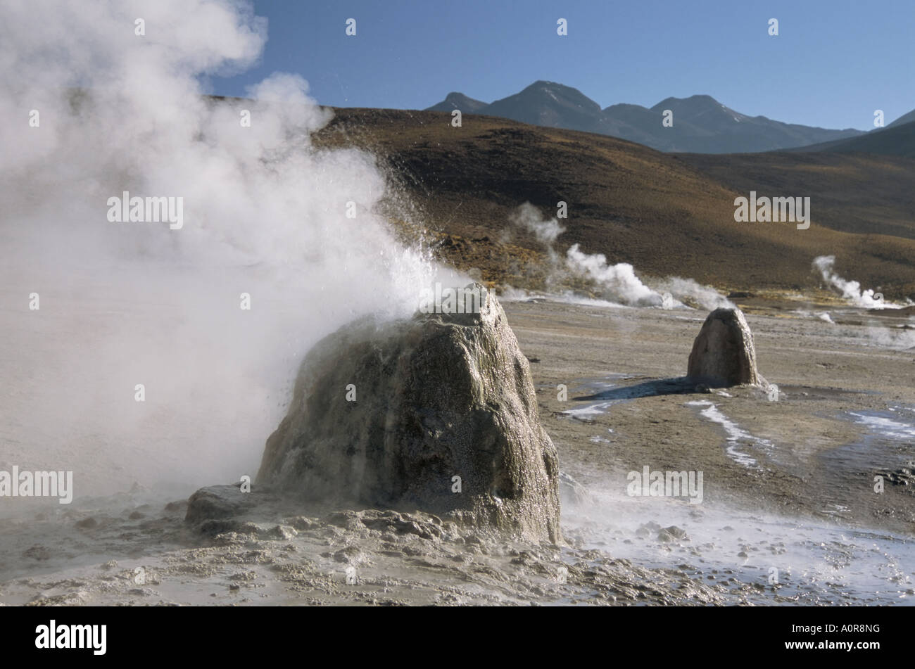 Active geyser su cupole geyserite El Tatio Geyser Basin su altiplano deserto di Atacama cile america del sud Foto Stock