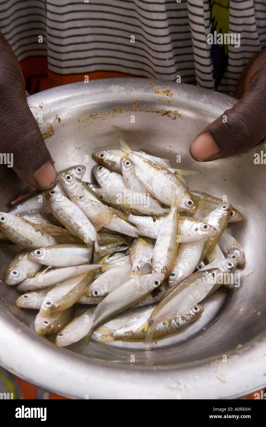 Pesce per la vendita nel mercato locale Djenne Niger Inland Delta regione di Mopti Mali West Africa Africa Foto Stock