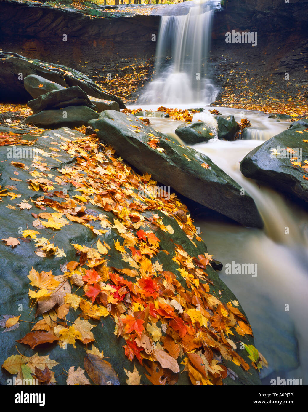 Autunno a Blue Hen Falls Cascate nelle scogliere che circondano il fiume Cuyahoga Valley National Park Cuyahoga lungo la valle del fiume Ohio Foto Stock