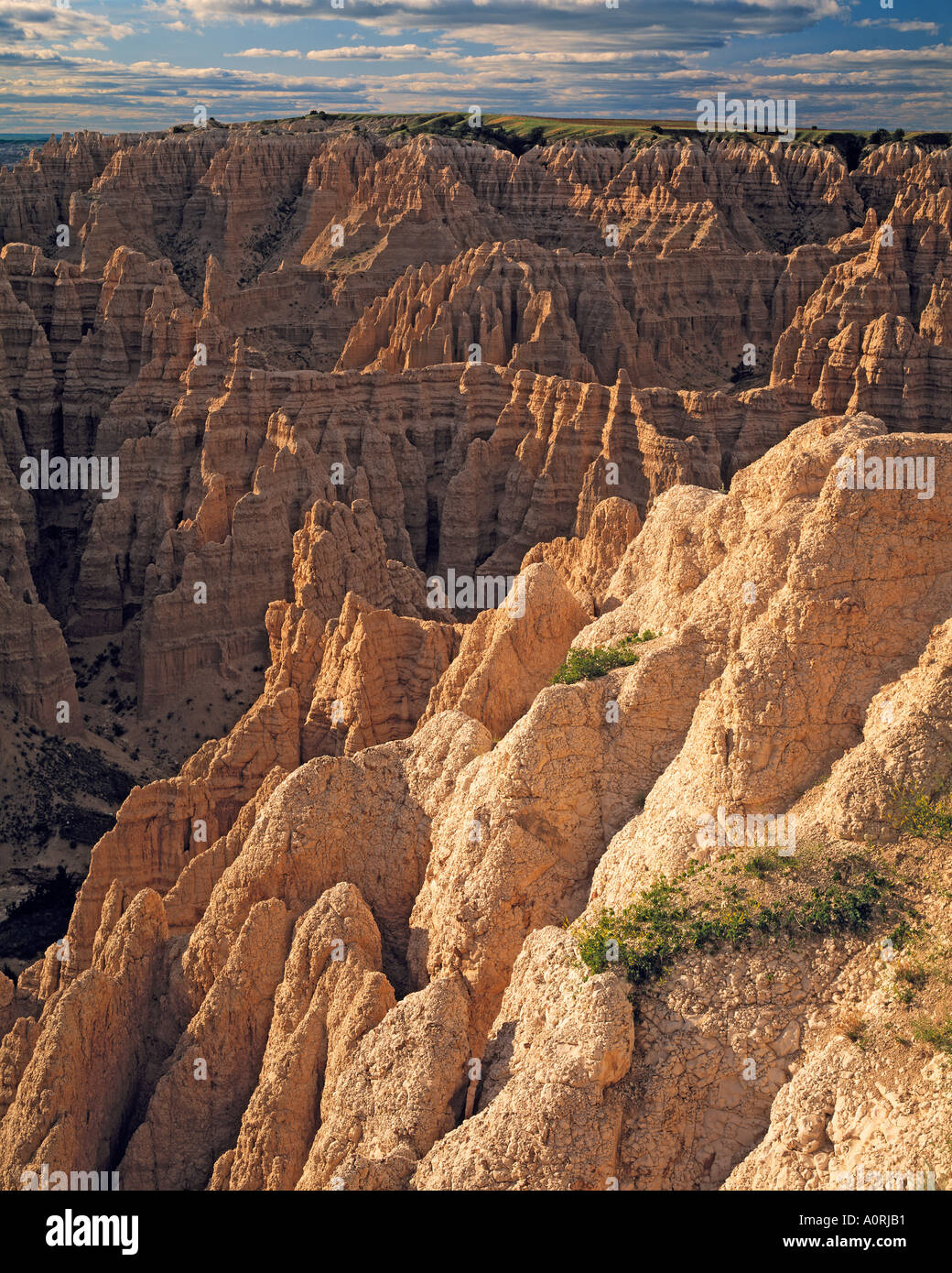Summer View da pecore di montagna sacra tabella sito di indiani Sioux Parco nazionale Badlands Unità del Sud Dakota del Sud Foto Stock