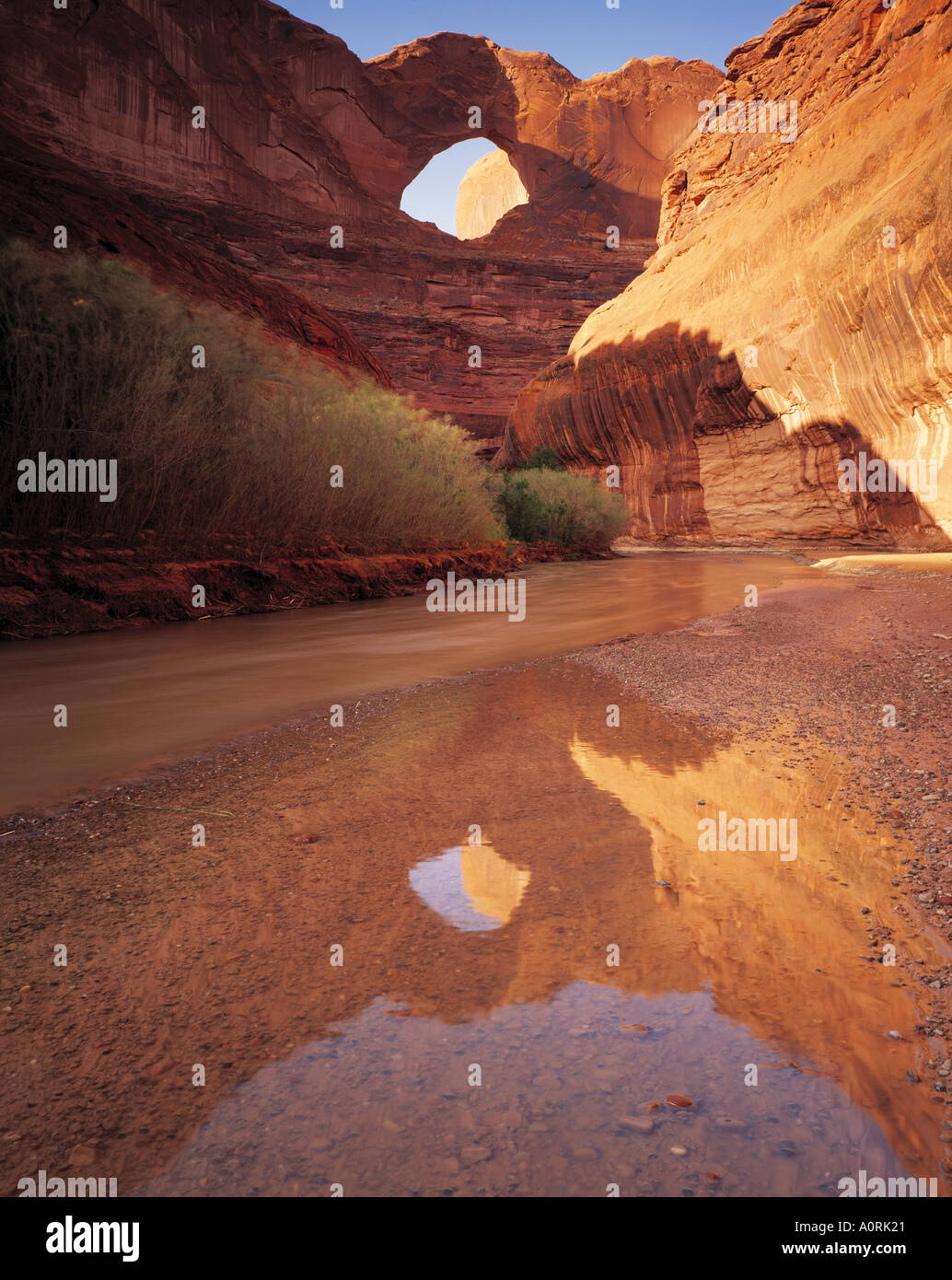 Stevens o Skyline Arch riflessioni a Escalante River Glen Canyon National Recreation Area Utah Foto Stock