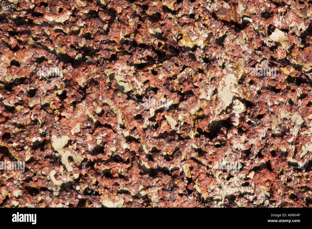 Eroso il minerale di ferro di roccia sulla spiaggia in stato di Maharashtra India Asia Foto Stock