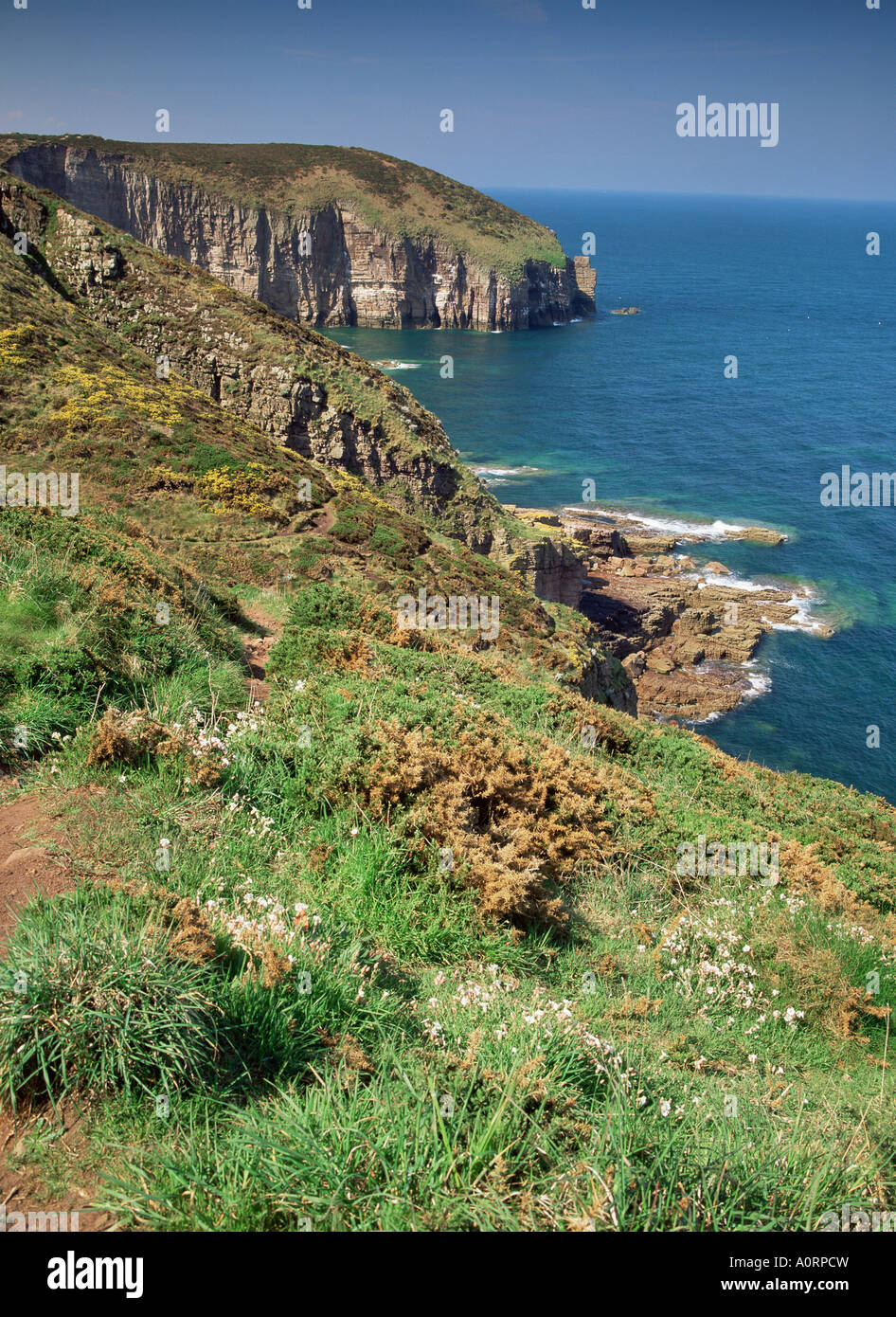 Cap Frehel Cote d Emeraude Cotes d Armor Bretagna Francia Europa Foto Stock