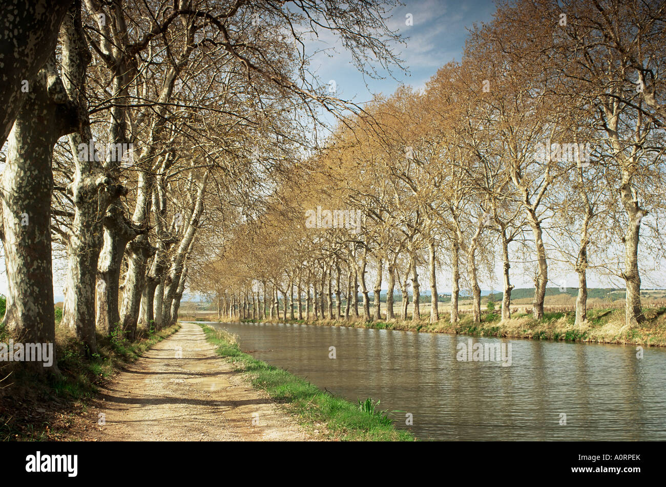 Il Canal du Midi vicino Capestang Languedoc Roussillon Francia Europa Foto Stock