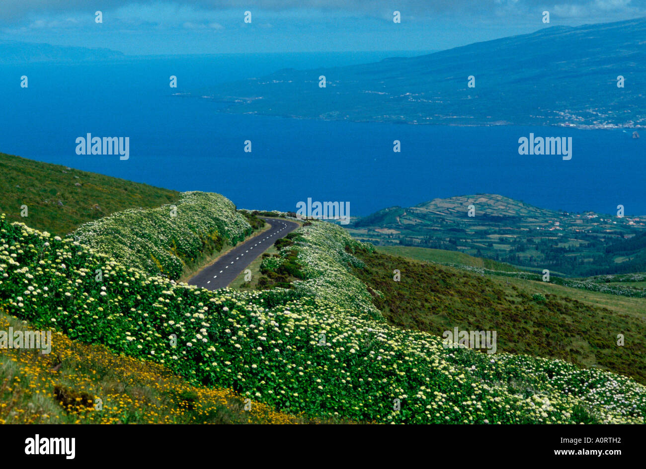 Costa / isola Faial / Kueste / Insel Faial Foto Stock