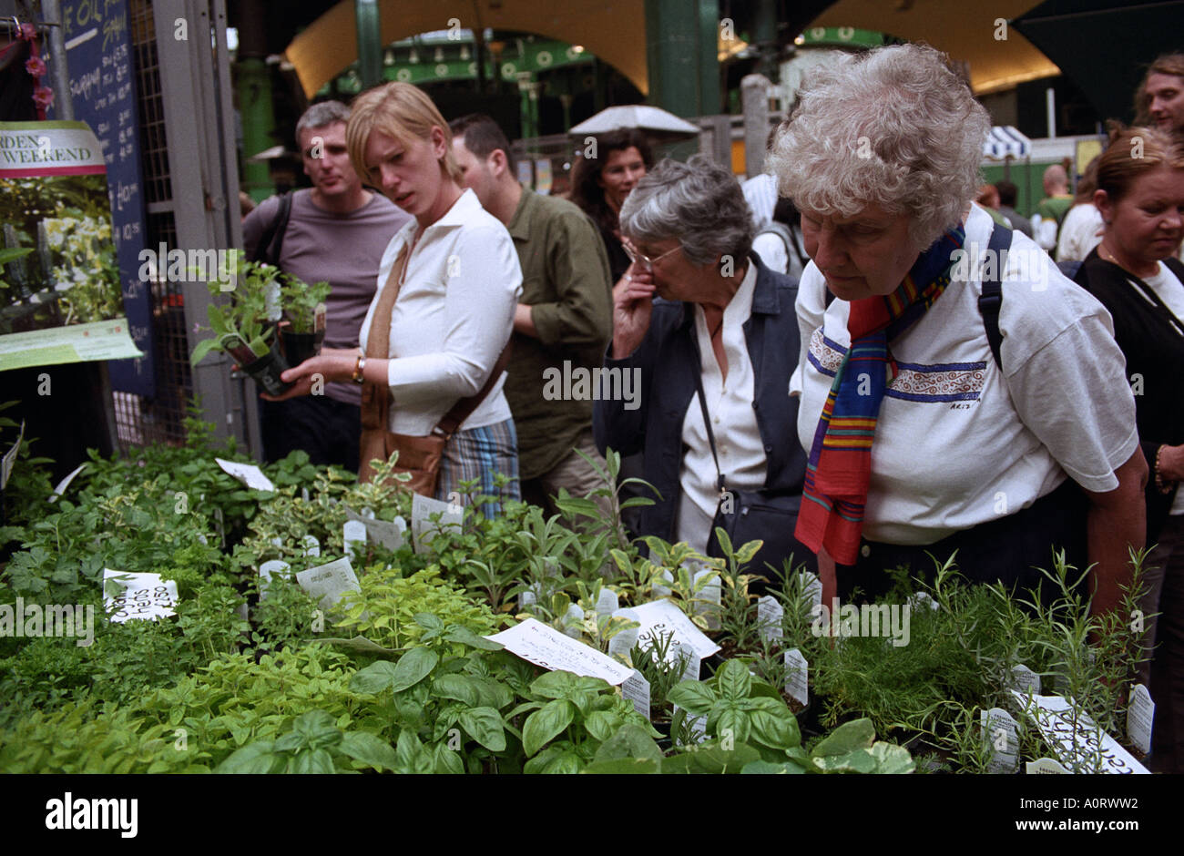 Londra, Regno Unito. Piante e fiori ed erbe per la vendita al mercato di Borough Foto Stock