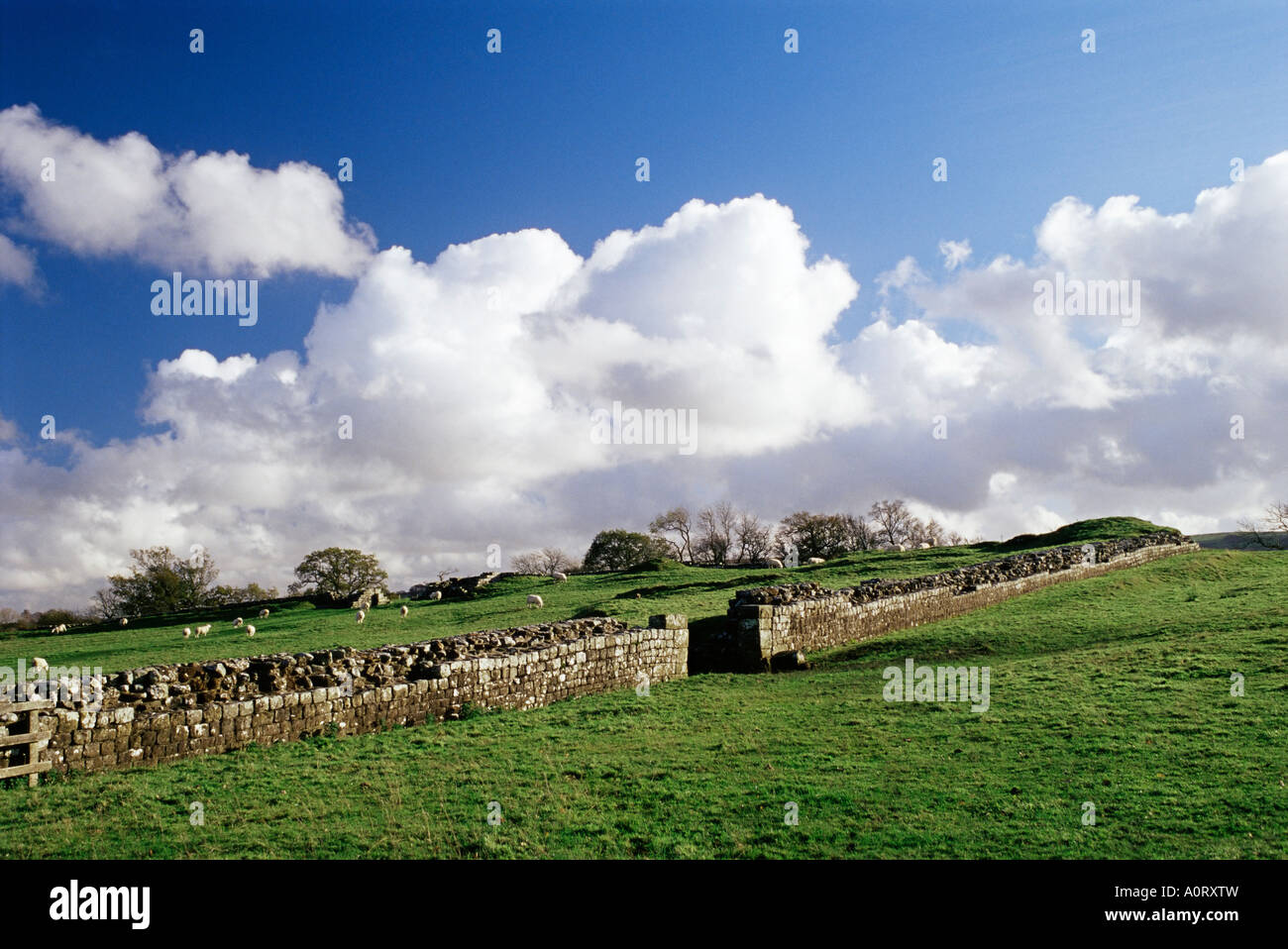 Birdoswald Fort muro romano il Vallo di Adriano UNESCO World Heritage Site Northumbria England Regno Unito Europa Foto Stock