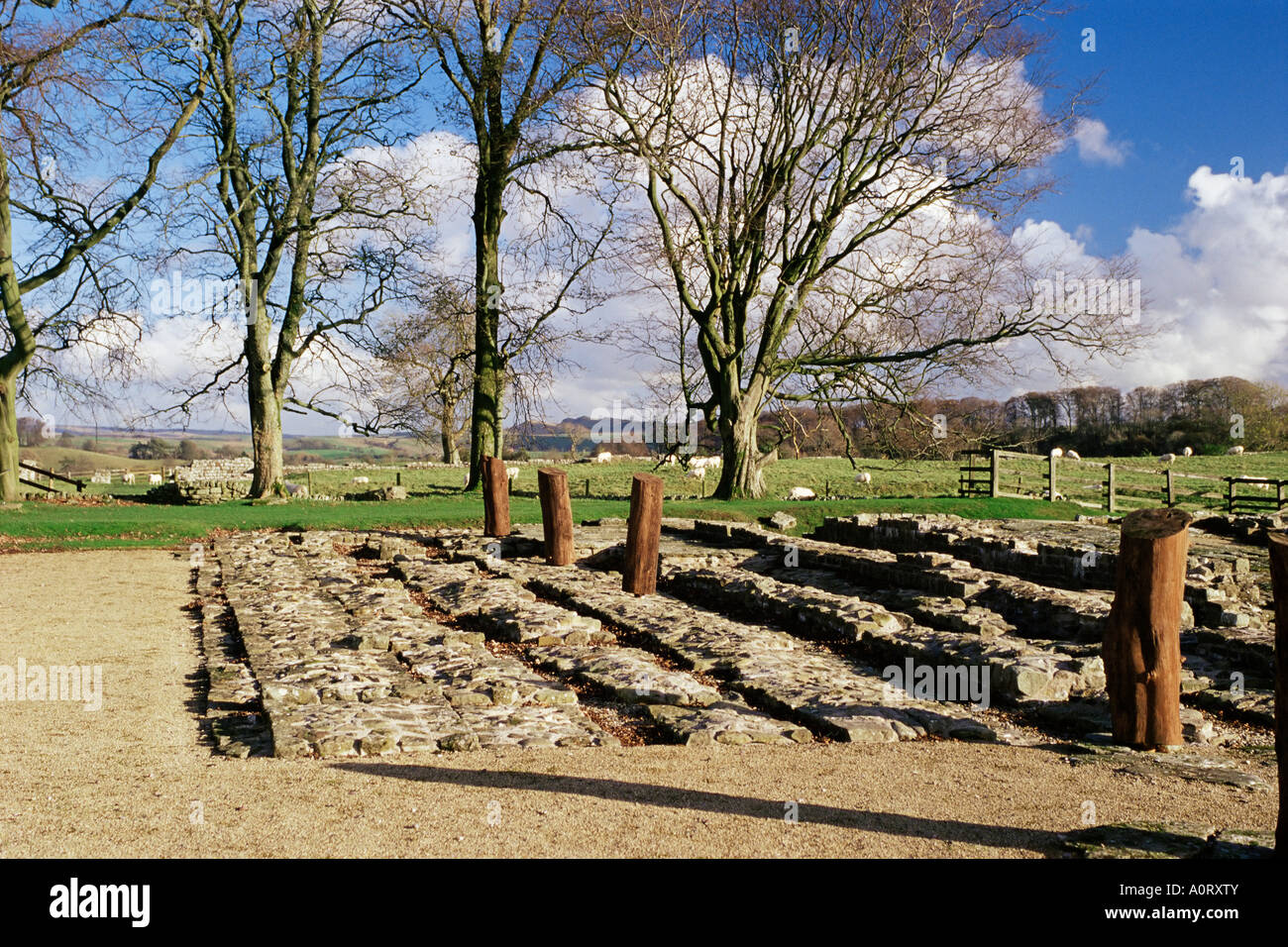 Birdoswald Fort muro romano il Vallo di Adriano UNESCO World Heritage Site Northumbria England Regno Unito Europa Foto Stock