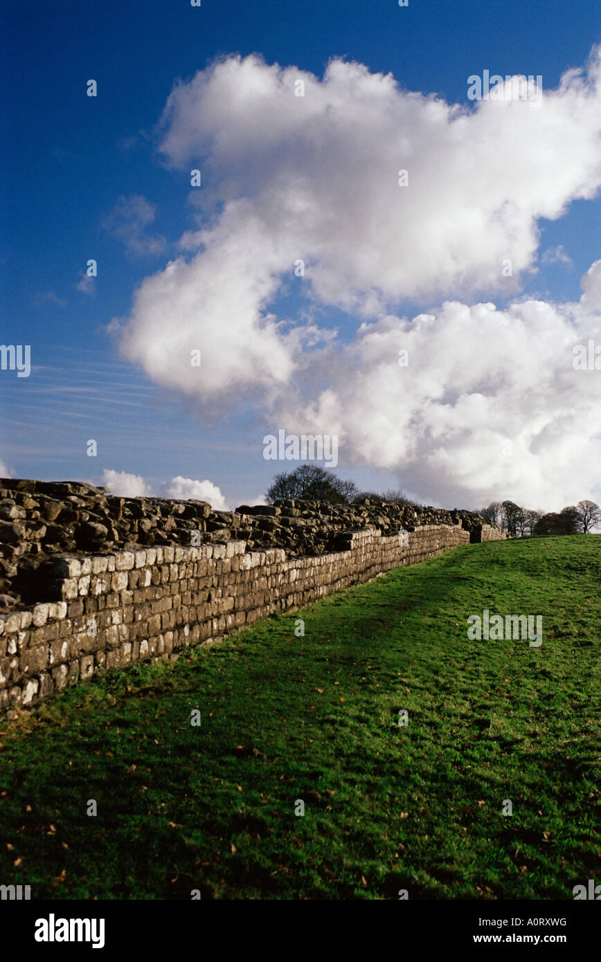 Muro Romano il Vallo di Adriano UNESCO World Heritage Site Birdoswald Northumbria England Regno Unito Europa Foto Stock