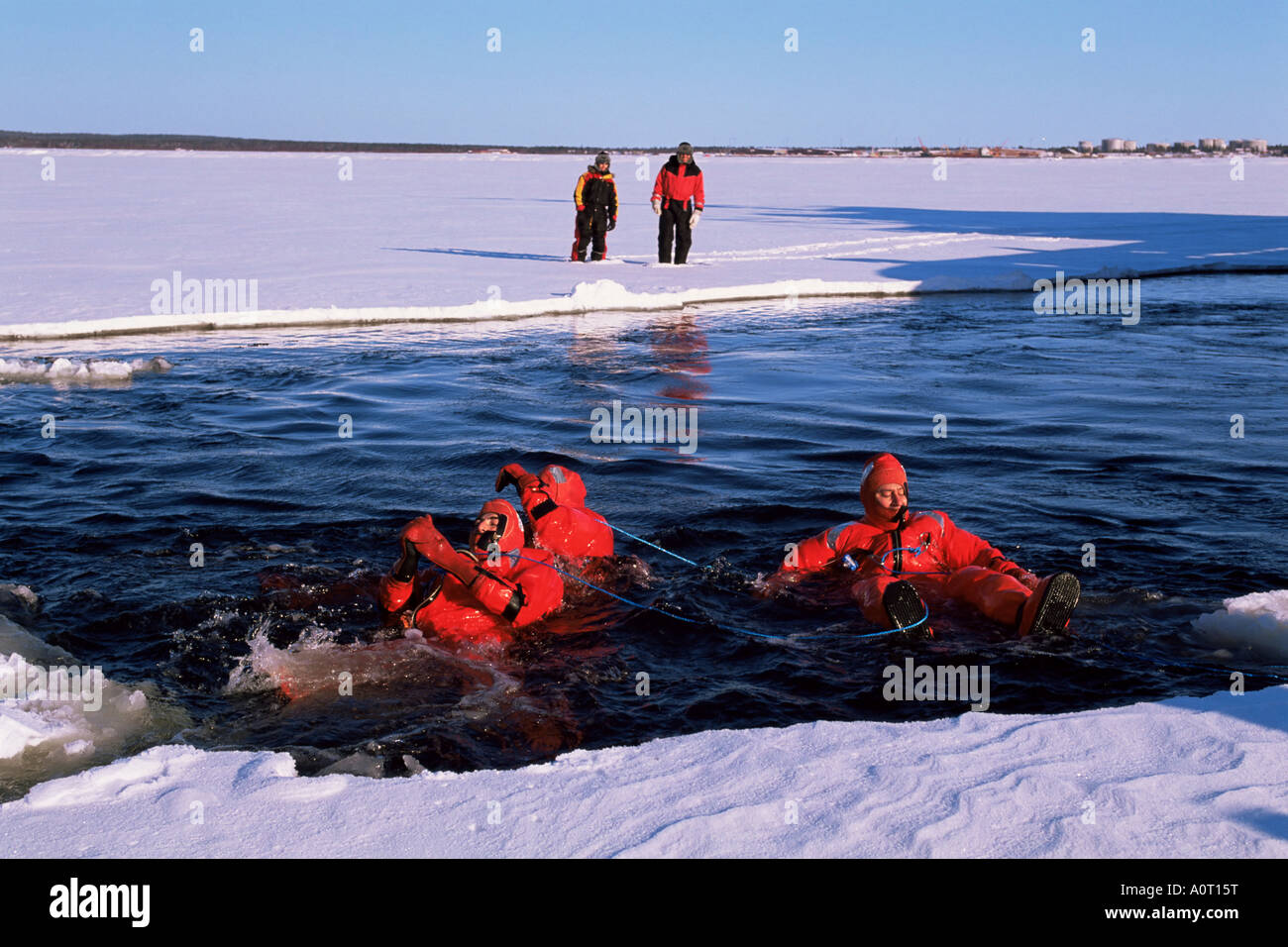 Nuotatori dall'Icebreaker Arctic Explorer Golfo di Botnia Lapponia Svezia Scandinavia Europa Foto Stock
