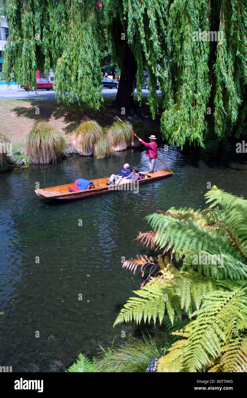 Turista giovane punting sul fiume Avon Christchurch Nuova Zelanda n. MR o PR Foto Stock