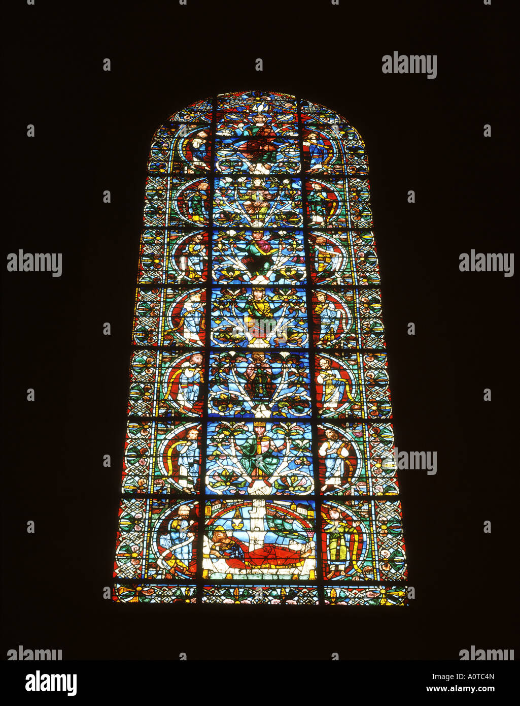 Il vetro macchiato L Arbre de Jesse la cattedrale di Chartres il Patrimonio Mondiale Foto Stock