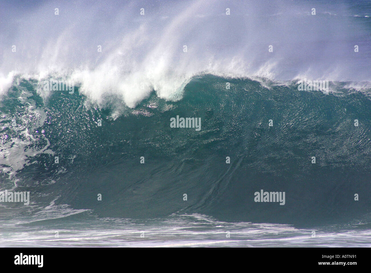 Massiccia ondata con windspray North Shore Oahu Hawaii Foto Stock