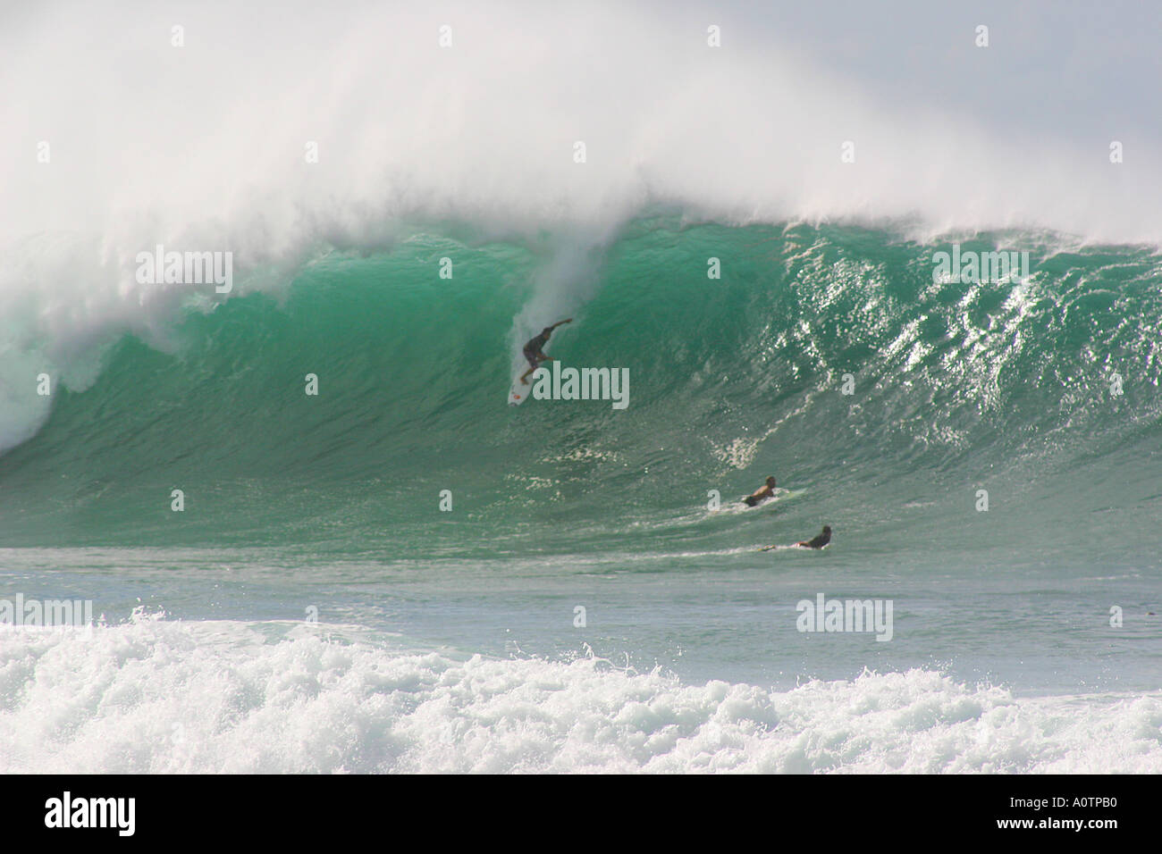Surfer riding enorme ondata come tubi Piepleine North Shore Oahu Hawaii Foto Stock