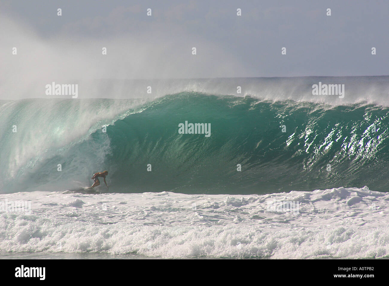 Surfer a fondo della massiccia ondata come tubi gasdotto North Shore di Oahu Hawaii Foto Stock