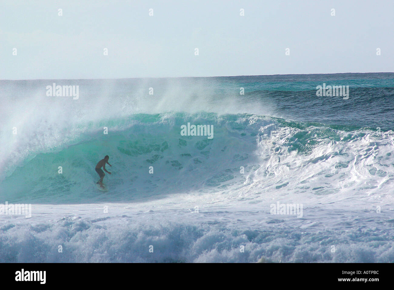 Surfer riding massiccia ondata come tubi gasdotto North Shore Oahu Hawaii Foto Stock