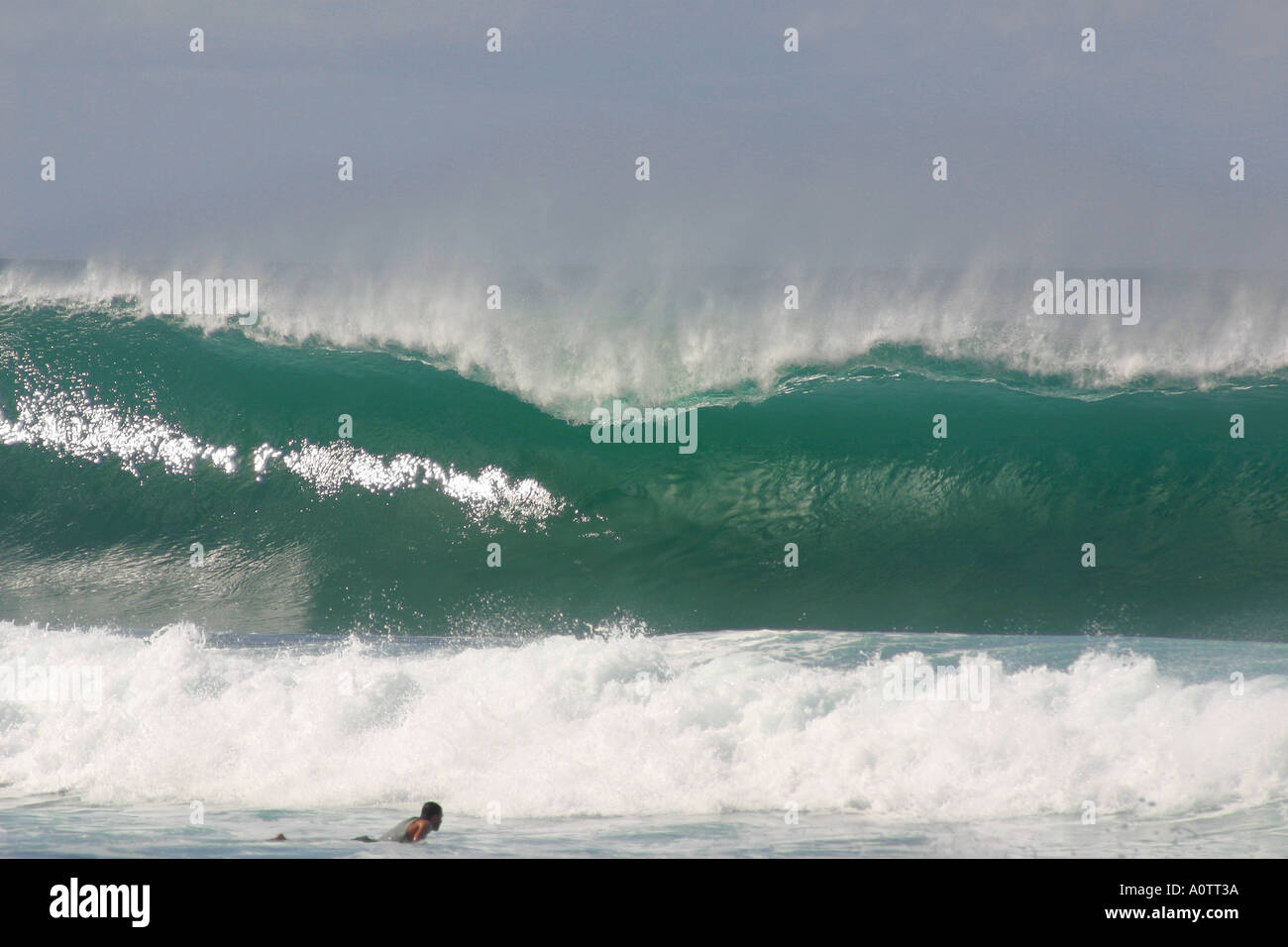 Massiccia ondata di ricci su come surfer rema fuori gasdotto North Shore Oahu Hawaii Foto Stock