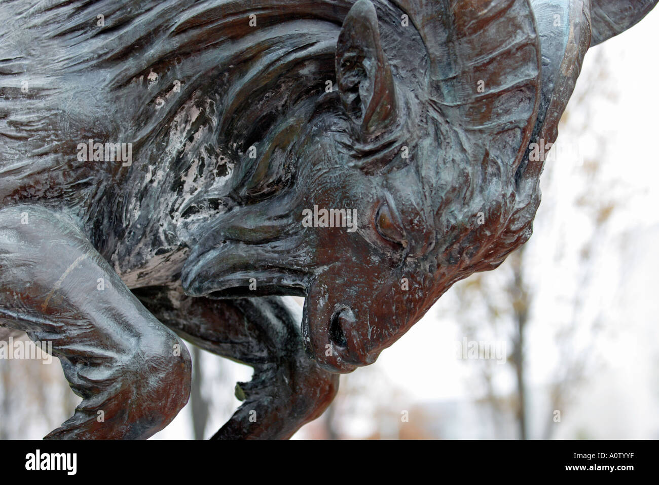 Primo piano della mascotte di capra statua a US Naval Academy Foto Stock